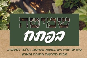 שמיטה בפתח ערוך (2)