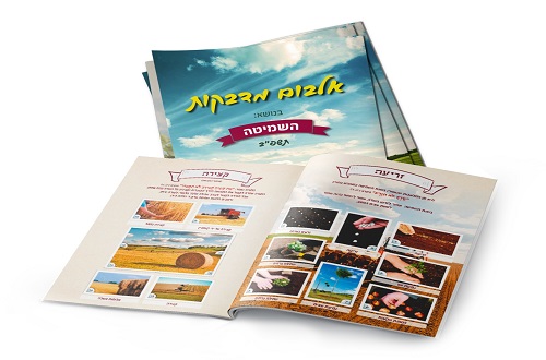 חוברת מדבקות