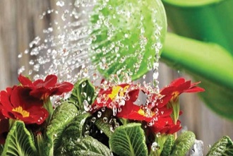 פעולות חקלאיות (1)