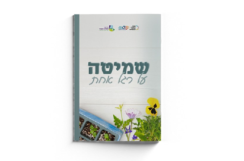 שמיטה על רגל אחת (2)