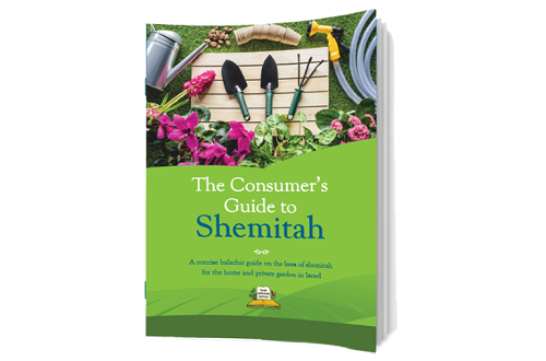 מוקאפ חוברת שמיטה אנגלית