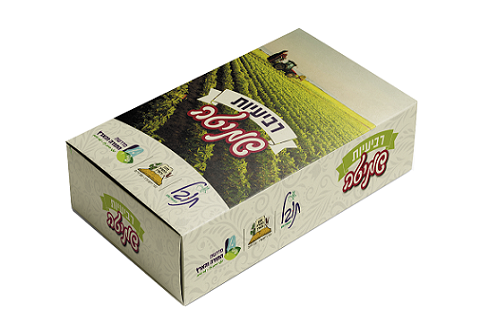 מוקאפ קופסא רביעיות