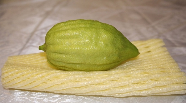 מידע יישומי - סוכות תשפ"ב