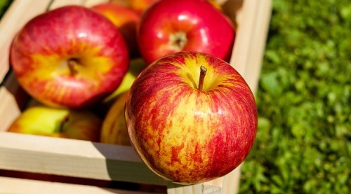 אוצר הארץ - מיזם ייחודי