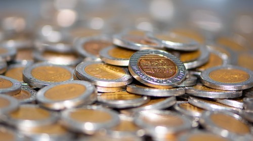 על השקלים ועל הכלאים