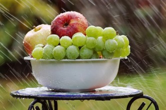 Bowl Of Fruit In Rain 4125348 640