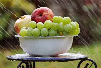 Bowl Of Fruit In Rain 4125348 640