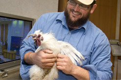 כיצד להכין את עצמינו לפסח? שיעורים לצפיה: