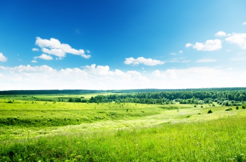 פרשה וארץ וישלח