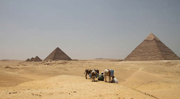 פרשת ויגש :  הירידה למצר במצרים