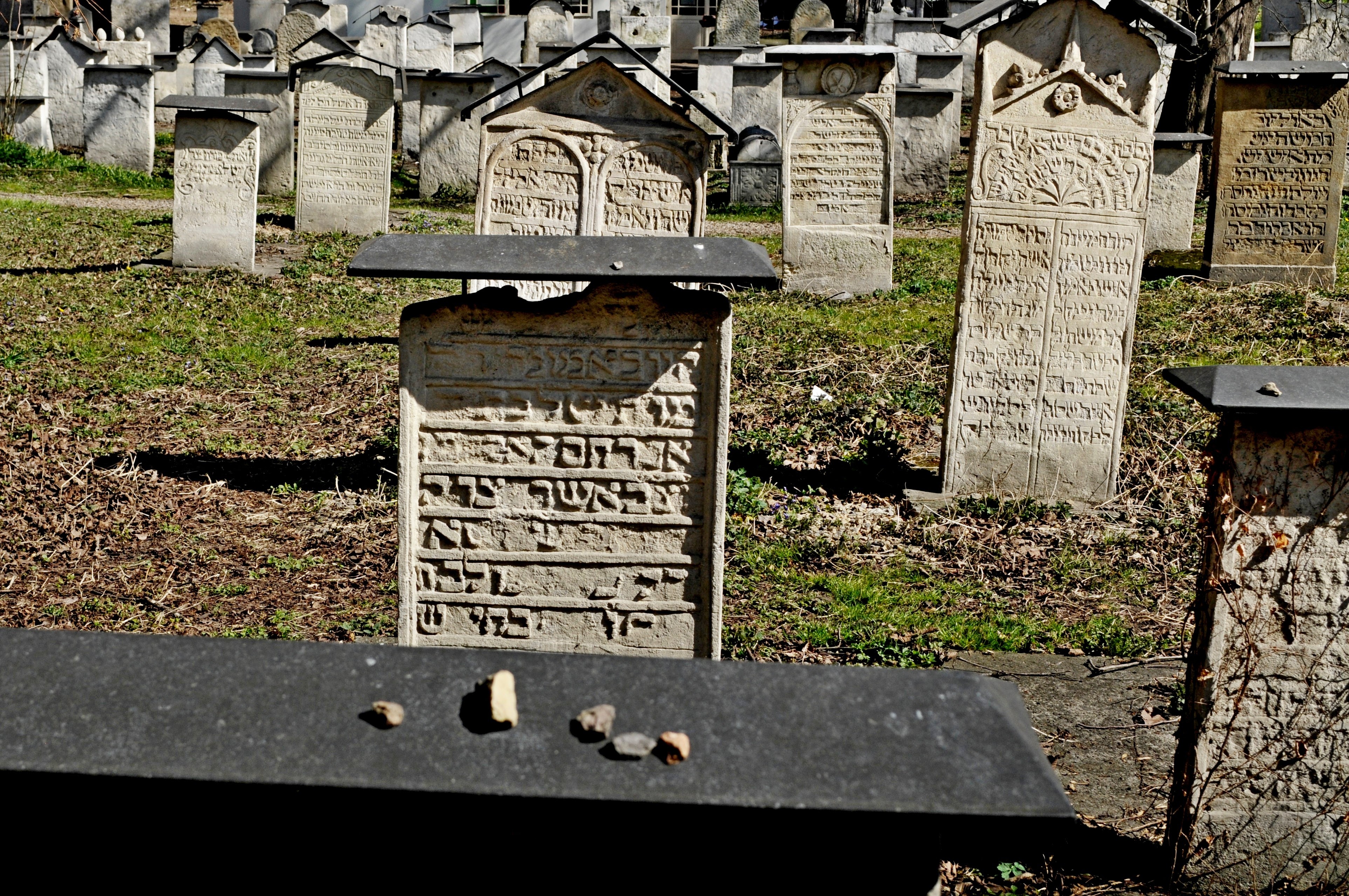 פרשת חיי-שרה: שריפת גופות