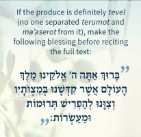 Magnet with Text for Separating Terumot and Ma'aserot