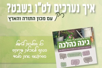 Whatsapp Image 2025 12 25 At 10.21.34 (1)