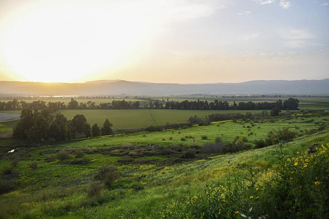 אי-ודאות כתנאי לגרמא