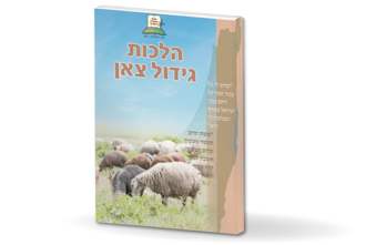 הדמיה הלכות צאן 01 (1)